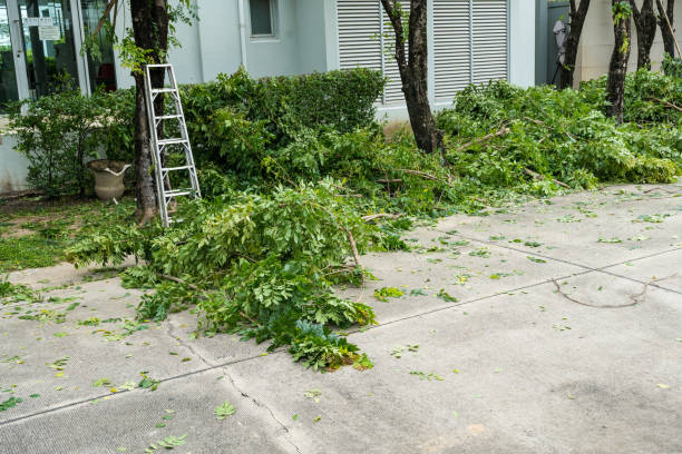 Best Utility Line Clearance  in Brooklyn, IA